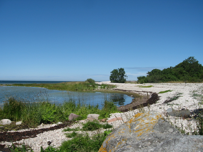 gal/Gotland_2008/s20080703-125738_IX.jpg