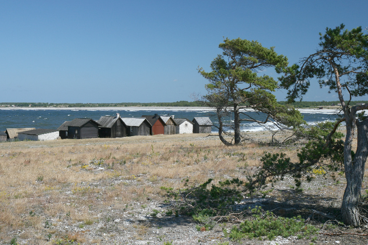 gal/Gotland_2008/s20080705-141402_EOS.brl.jpg