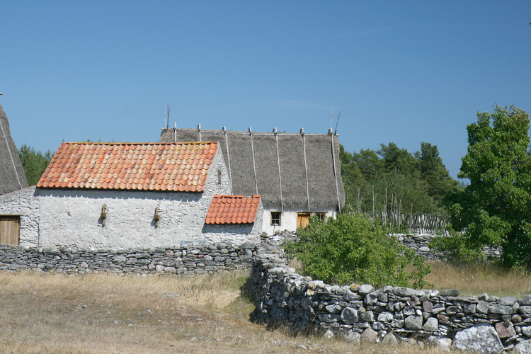 gal/Gotland_2008/s20080705-143416_EOS.a.jpg