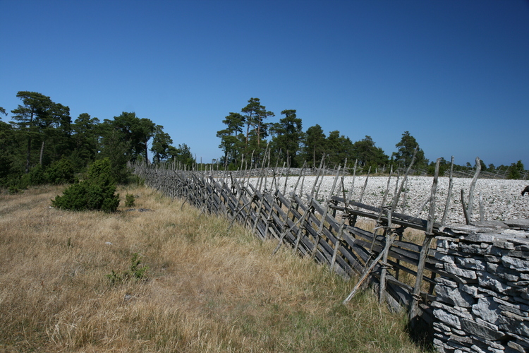 gal/Gotland_2008/s20080705-143756_EOS.jpg