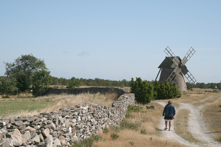 gal/Gotland_2008/s20080705-144629_EOS.a.jpg