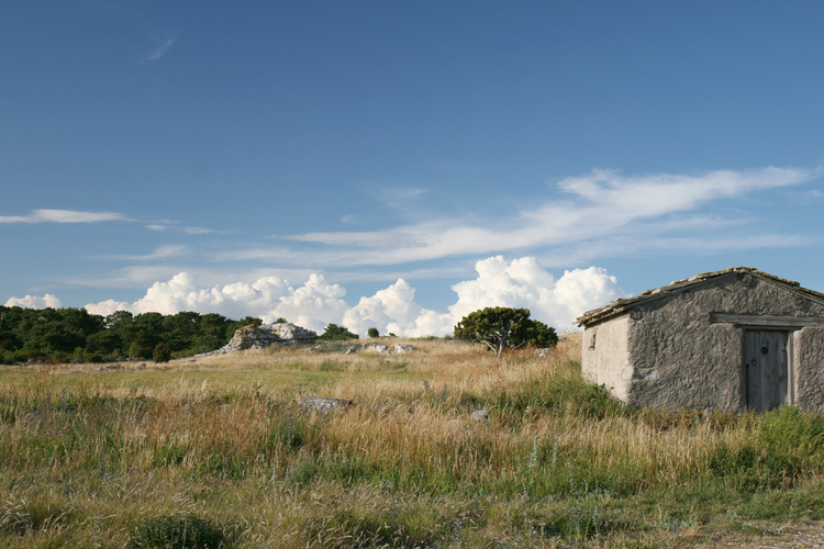 gal/Gotland_2008/s20080708-183034_EOS.a.jpg