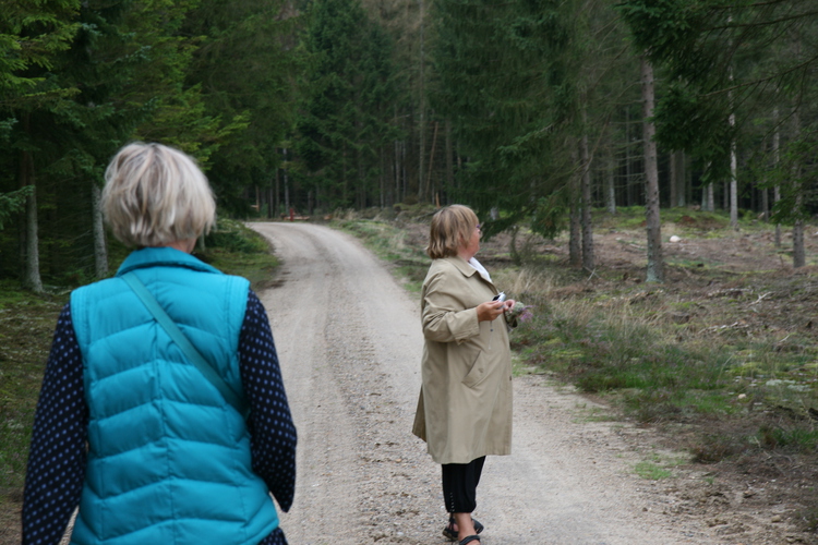 gal/Jylland_i_september/w20110910-145231_EOS.jpg