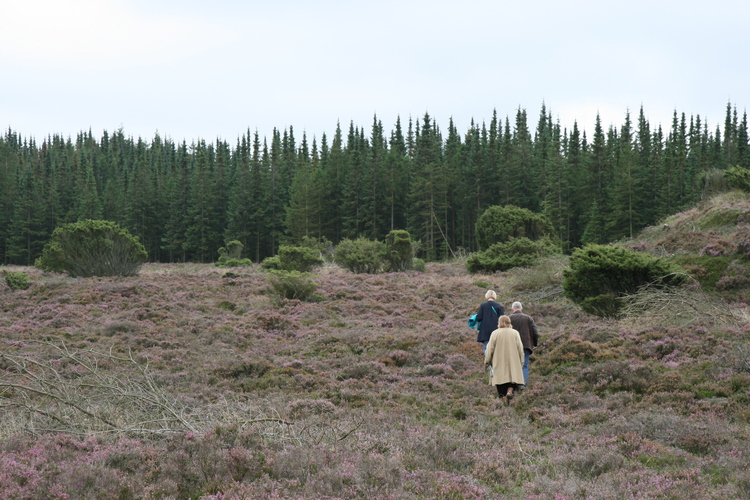 gal/Jylland_i_september/w20110910-154321_EOS.jpg