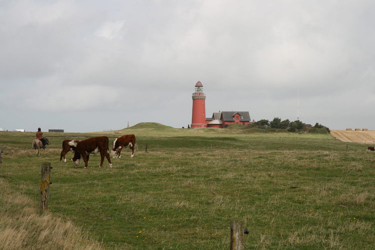 gal/Jylland_i_september/w20110911-123859_EOS.jpg