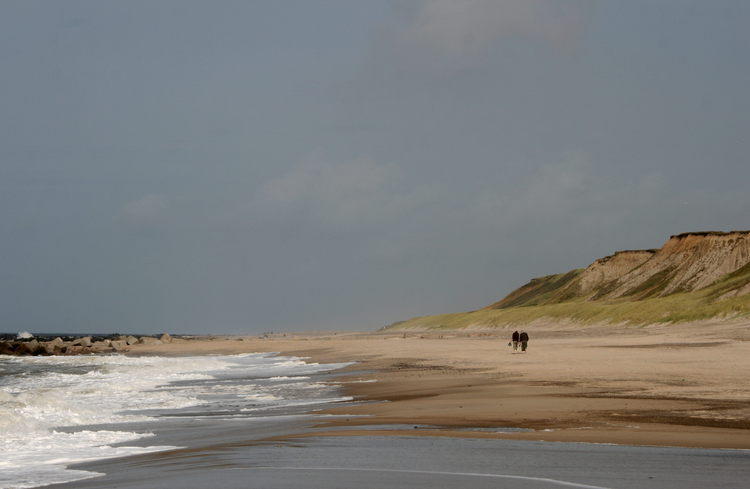 gal/Jylland_i_september/w20110911-132137_EOS.jpg