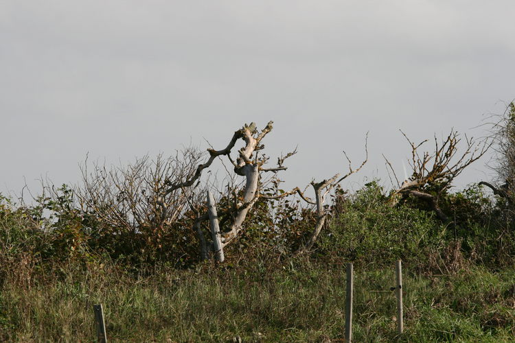 gal/Jylland_i_september/w20110911-135227_EOS.jpg