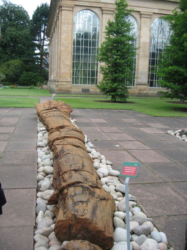 gal/Scotland_2010/Eliza/w20100708-105501_IX.jpg