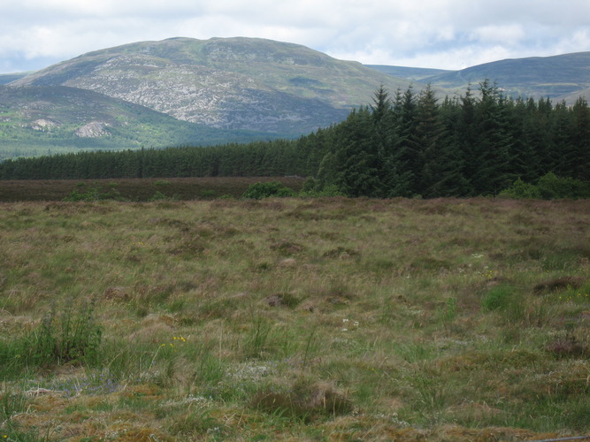 gal/Scotland_2010/Eliza/w20100711-113542_IX.jpg