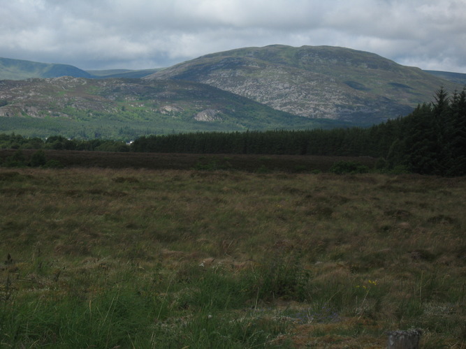 gal/Scotland_2010/Eliza/w20100711-113554_IX.jpg