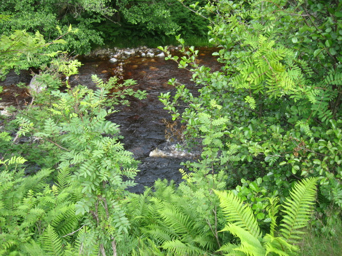 gal/Scotland_2010/Eliza/w20100711-120120_IX.jpg