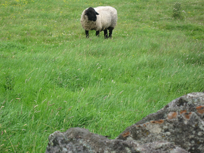 gal/Scotland_2010/Eliza/w20100711-122225_IX.jpg