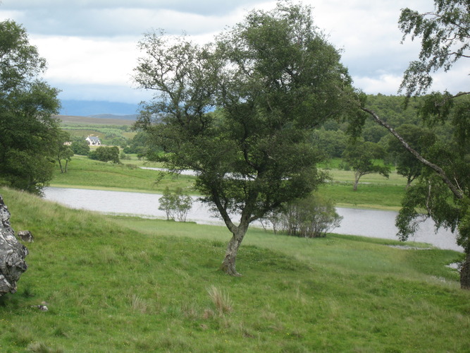 gal/Scotland_2010/Eliza/w20100711-181124_IX.jpg