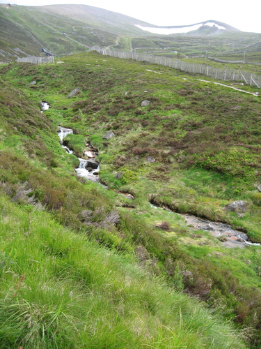 gal/Scotland_2010/Eliza/w20100712-132623_IX.jpg