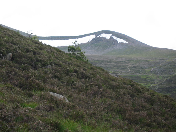 gal/Scotland_2010/Eliza/w20100712-142003_IX.jpg