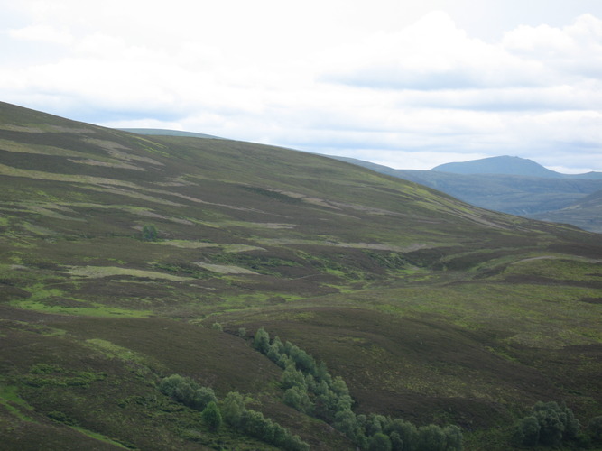 gal/Scotland_2010/Eliza/w20100713-165104_IX.jpg