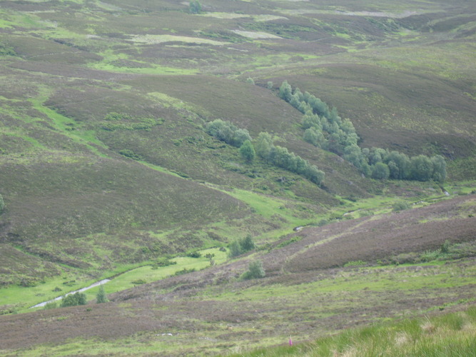 gal/Scotland_2010/Eliza/w20100713-165110_IX.jpg