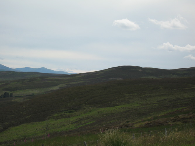 gal/Scotland_2010/Eliza/w20100713-165124_IX.jpg