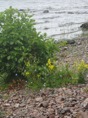 gal/Scotland_2010/Eliza/w20100714-115332_IX.jpg