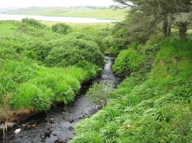 gal/Scotland_2010/Eliza/w20100715-104447_IX.jpg