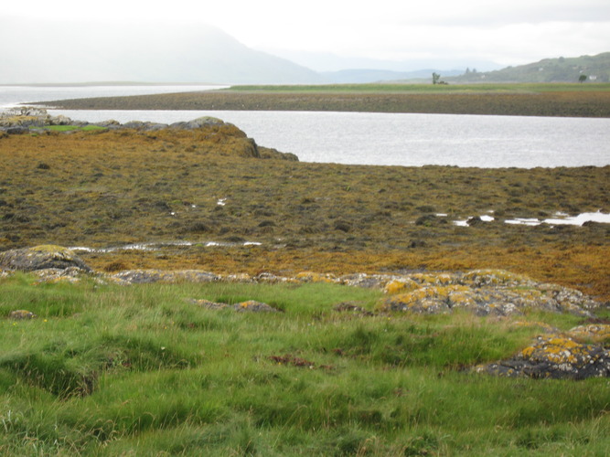 gal/Scotland_2010/Eliza/w20100715-170001_IX.jpg