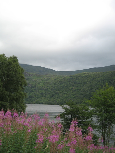 gal/Scotland_2010/Eliza/w20100717-134918_IX.jpg