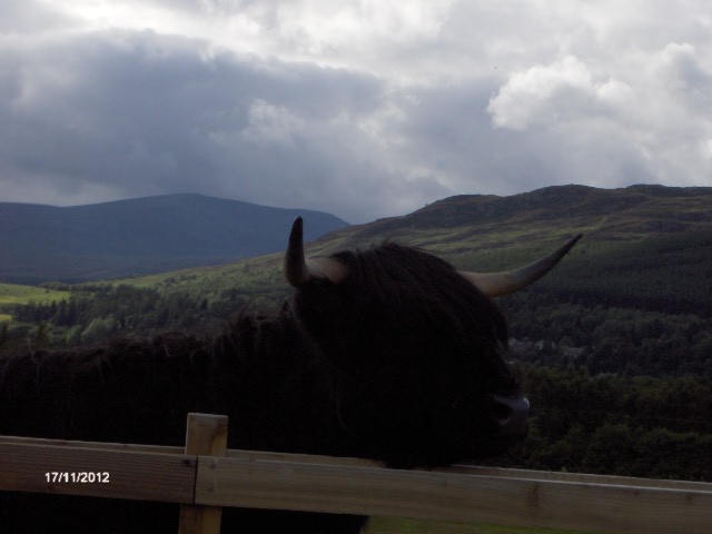 gal/Scotland_2010/Mette-C/215.jpg