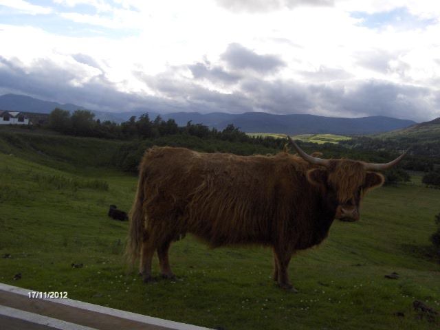 gal/Scotland_2010/Mette-C/216.jpg