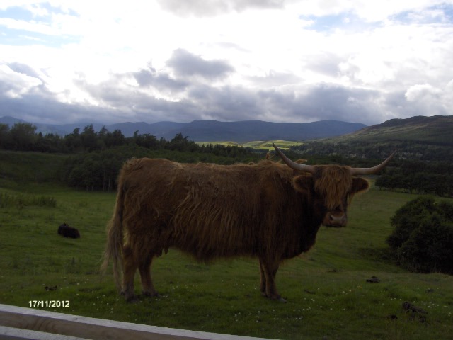 gal/Scotland_2010/Mette-C/217.jpg