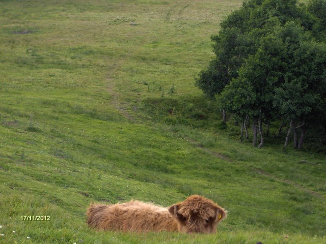 gal/Scotland_2010/Mette-C/219.jpg