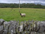 gal/Scotland_2010/Mette-C/_thb_189.jpg