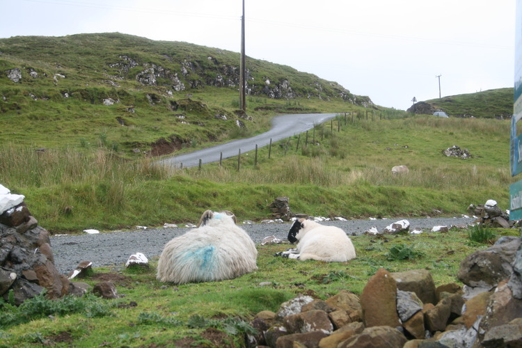 gal/Scotland_2010/Mette-S/wimg_6950.jpg