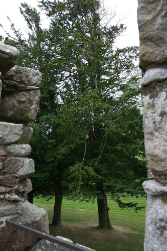 gal/Scotland_2010/Michael/w20100710-124820_EOS.jpg