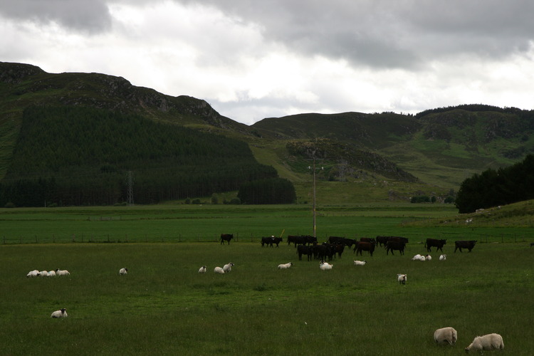 gal/Scotland_2010/Michael/w20100711-172504_EOS.jpg