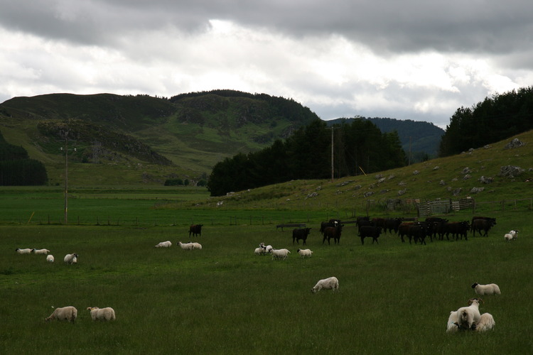 gal/Scotland_2010/Michael/w20100711-172544_EOS.jpg