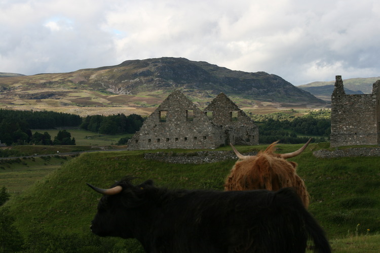 gal/Scotland_2010/Michael/w20100711-183519_EOS.jpg