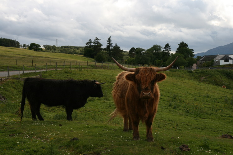 gal/Scotland_2010/Michael/w20100711-183843_EOS.jpg