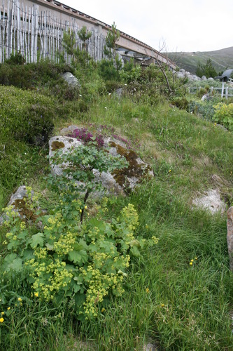 gal/Scotland_2010/Michael/w20100712-145315_EOS.jpg