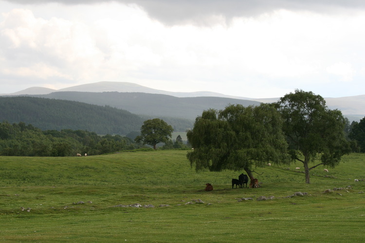 gal/Scotland_2010/Michael/w20100712-155454_EOS.jpg