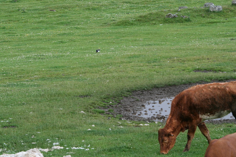 gal/Scotland_2010/Michael/w20100712-155558_EOS.jpg