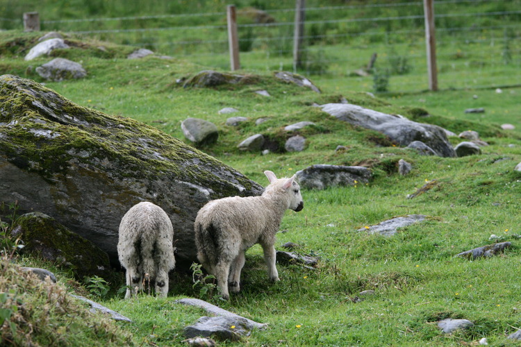 gal/Scotland_2010/Michael/w20100712-155700_EOS.jpg