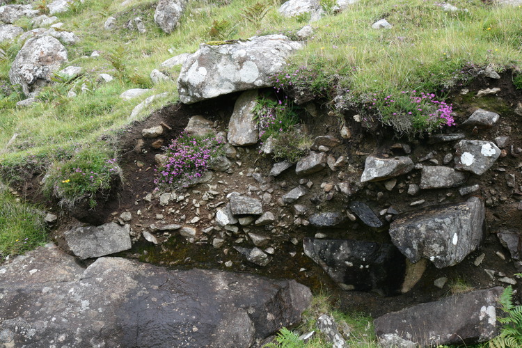 gal/Scotland_2010/Michael/w20100715-115608_EOS.jpg