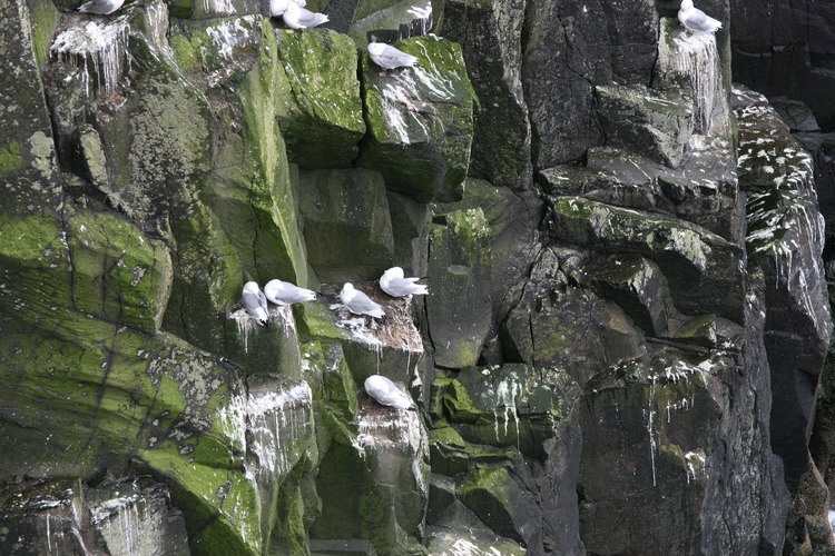 gal/Scotland_2010/Michael/w20100715-125056_EOS.jpg