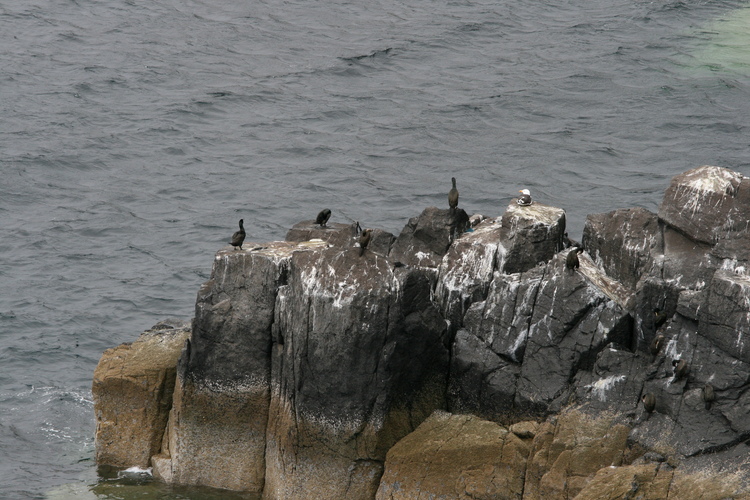 gal/Scotland_2010/Michael/w20100715-125427_EOS.jpg