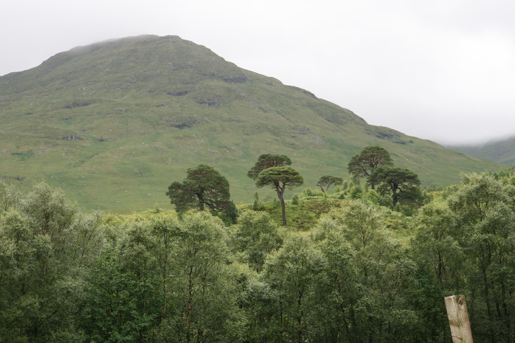 gal/Scotland_2010/Michael/w20100717-125135_EOS.jpg