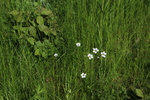 gal/Øland/_thb_w20250519-143616_70D.jpg
