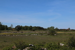 gal/Øland/_thb_w20250520-093615_70D.jpg