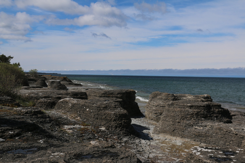 gal/Øland/w20250517-093613_70D.jpg
