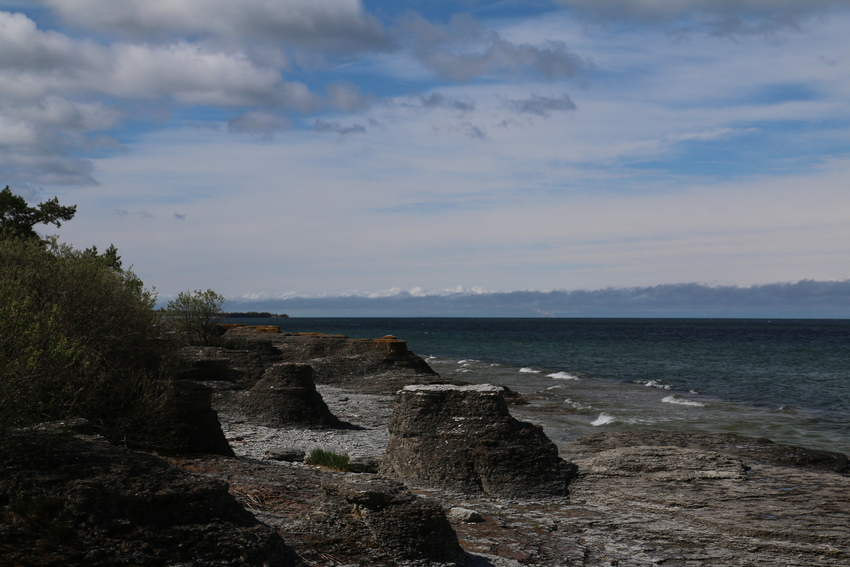 gal/Øland/w20250517-093834_70D.jpg