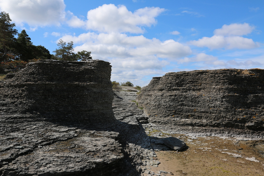 gal/Øland/w20250517-094308_70D.jpg